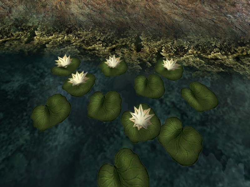 Water lillies