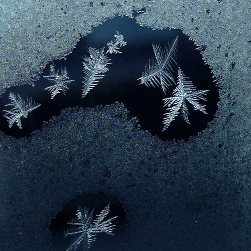 Frost crystals