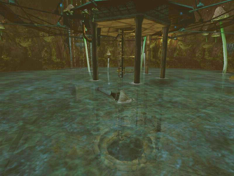 Hut room filled with water